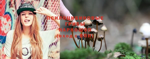 бутират Алзамай