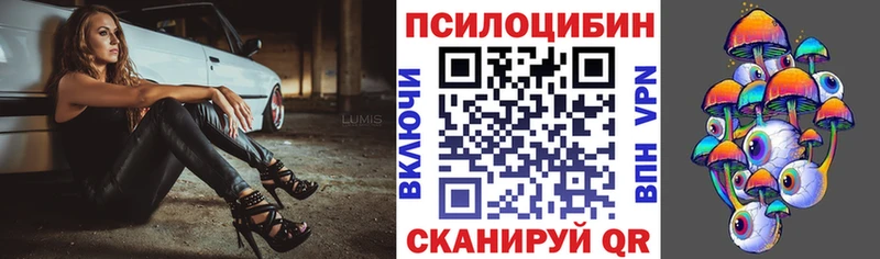 Галлюциногенные грибы Psilocybine cubensis  Сокол 