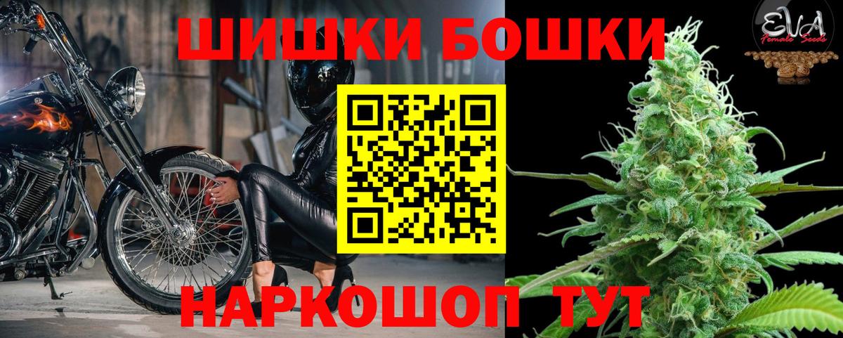 Каннабис гибрид Сокол